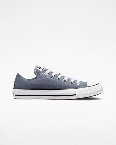 Grey Converse Chuck Taylor All Star Seasonal Color Women's Low Top Shoes | CN389I14K