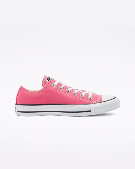 Pink Converse Chuck Taylor All Star Classic Men's Low Top Shoes | BFI1K4L85