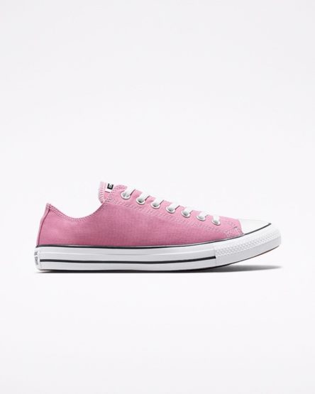 Pink Converse Chuck Taylor All Star Seasonal Color Men's Low Top Shoes | CGK57L138