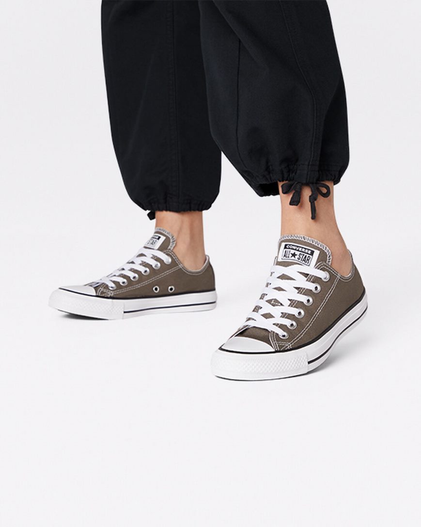 Deep Grey Converse Chuck Taylor All Star Classic Women's Low Top Shoes | HG9534IL8