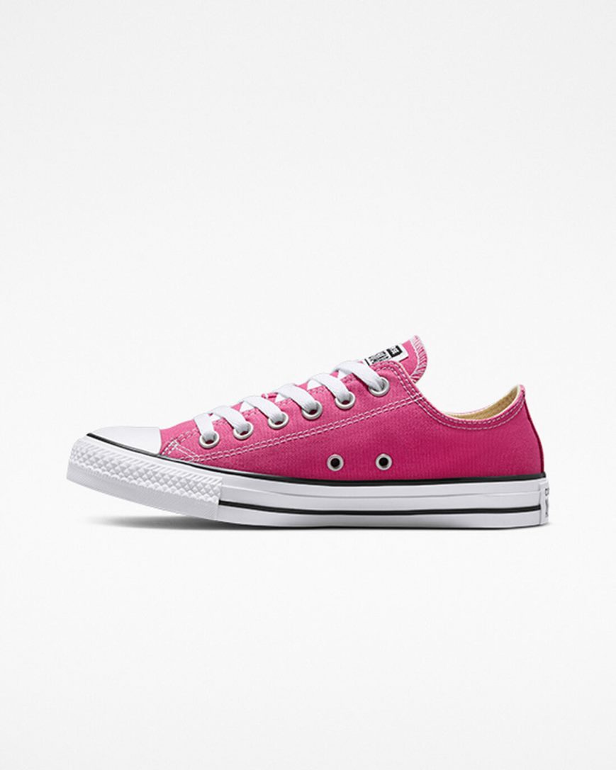 Fuchsia / White / Black Converse Chuck Taylor All Star Seasonal Color Men's Low Top Shoes | FX39L5I1K