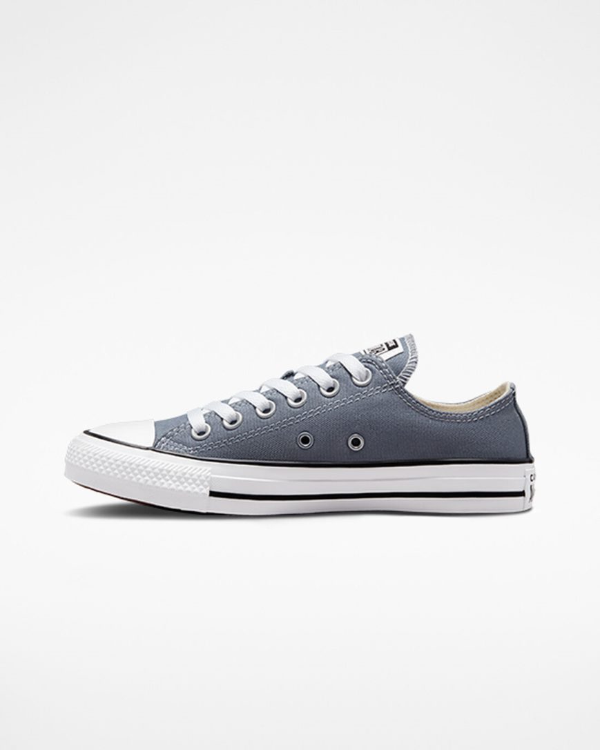 Grey Converse Chuck Taylor All Star Seasonal Color Women's Low Top Shoes | CN389I14K