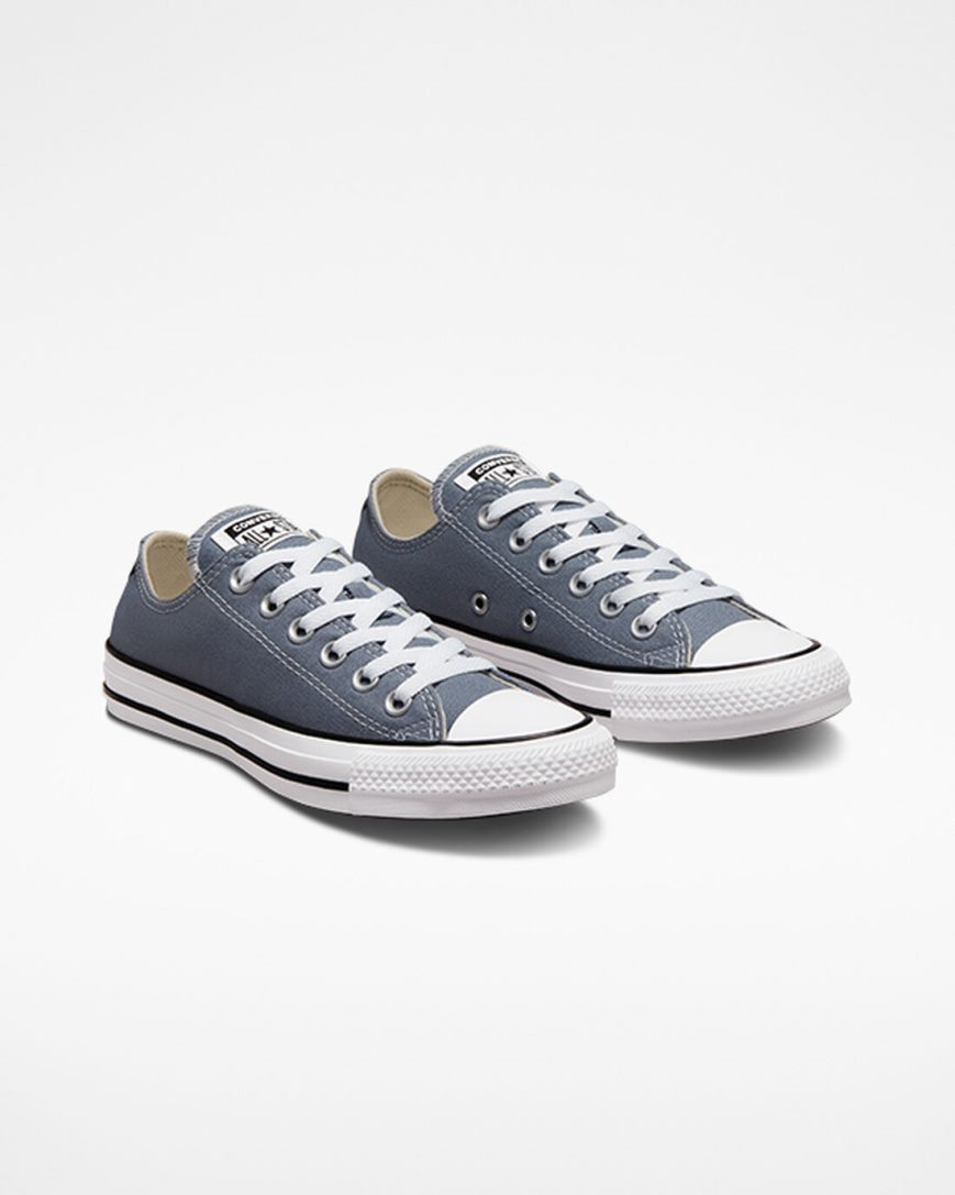 Grey Converse Chuck Taylor All Star Seasonal Color Women's Low Top Shoes | CN389I14K