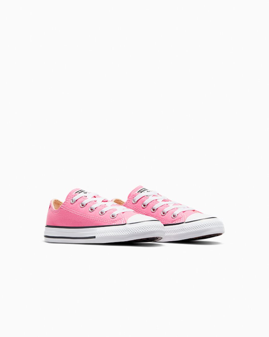 Pink Converse Chuck Taylor All Star Classic Boys' Low Top Shoes | CH853LI7K