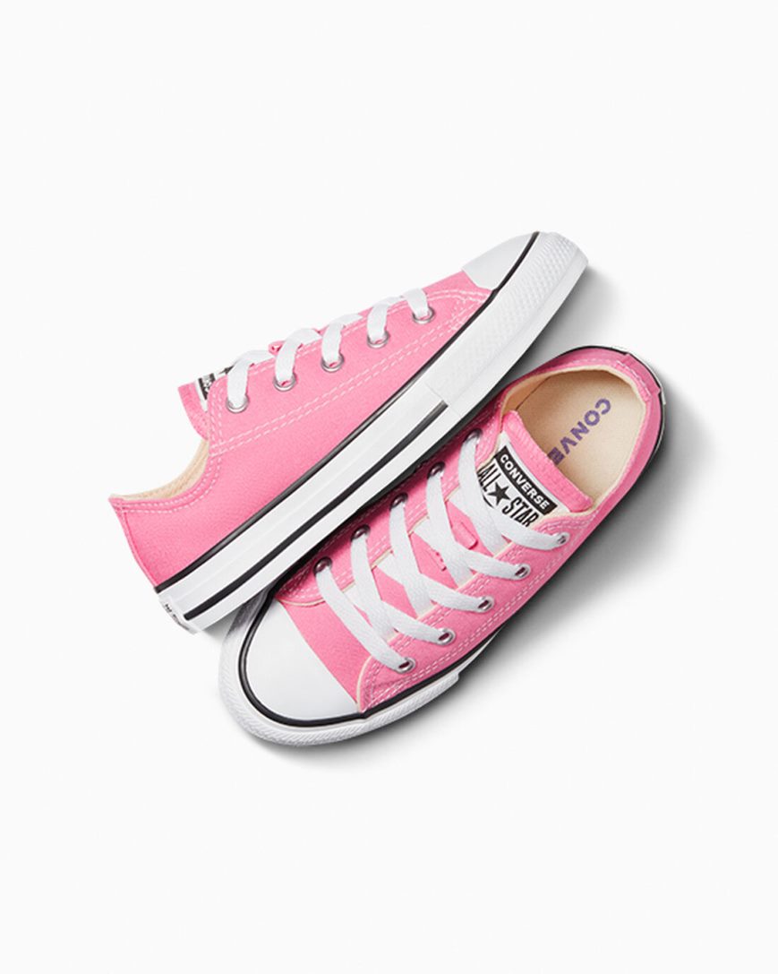 Pink Converse Chuck Taylor All Star Classic Boys' Low Top Shoes | CH853LI7K