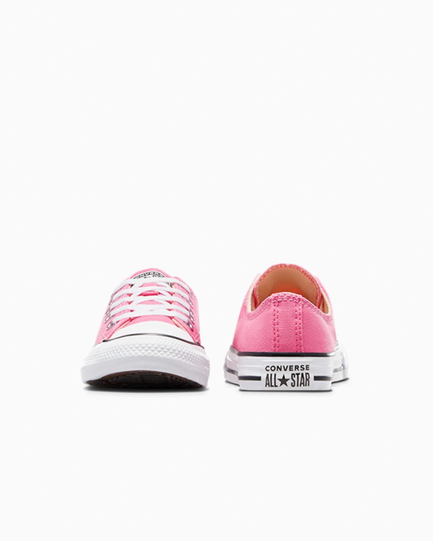 Pink Converse Chuck Taylor All Star Classic Boys' Low Top Shoes | CH853LI7K