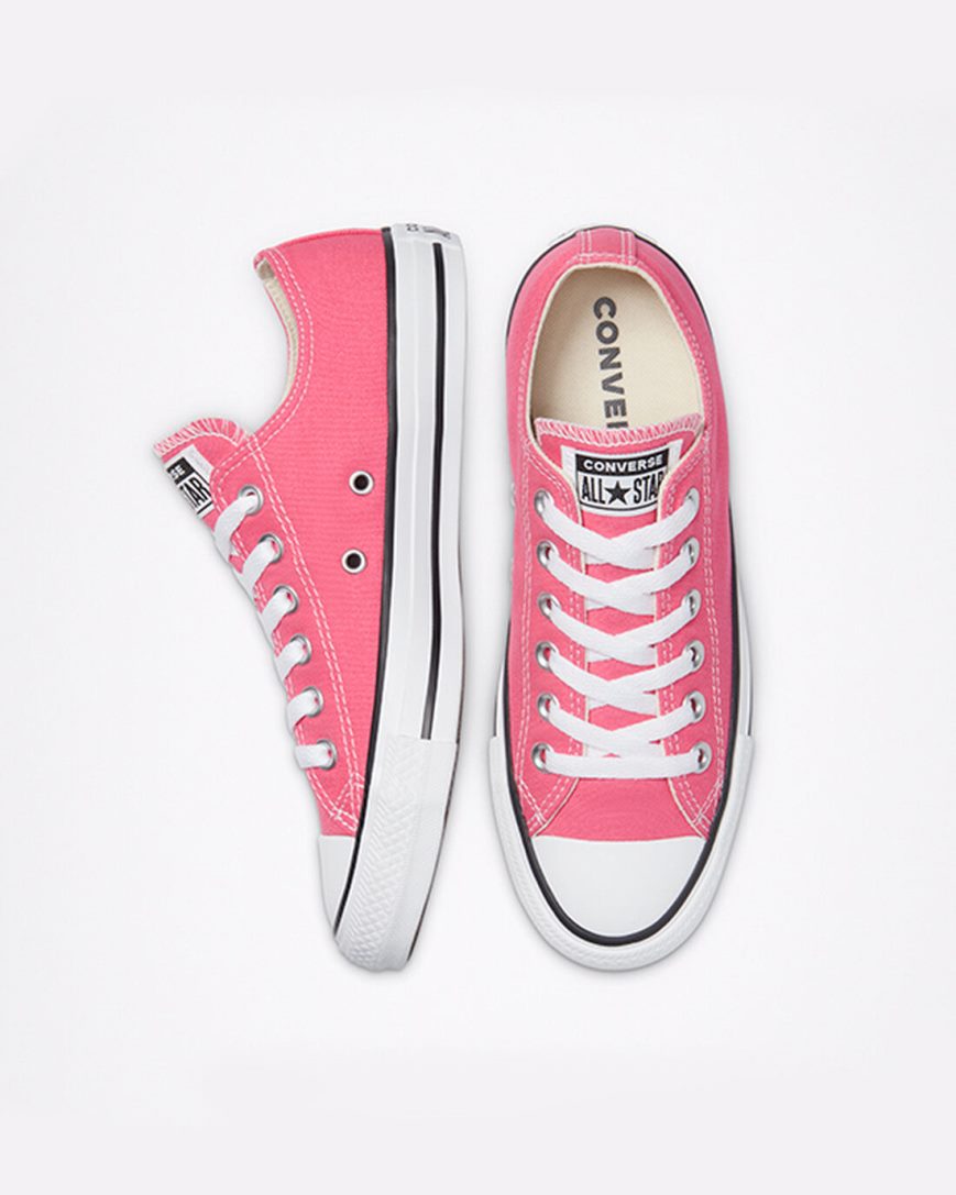 Pink Converse Chuck Taylor All Star Classic Women's Low Top Shoes | GK59I4837