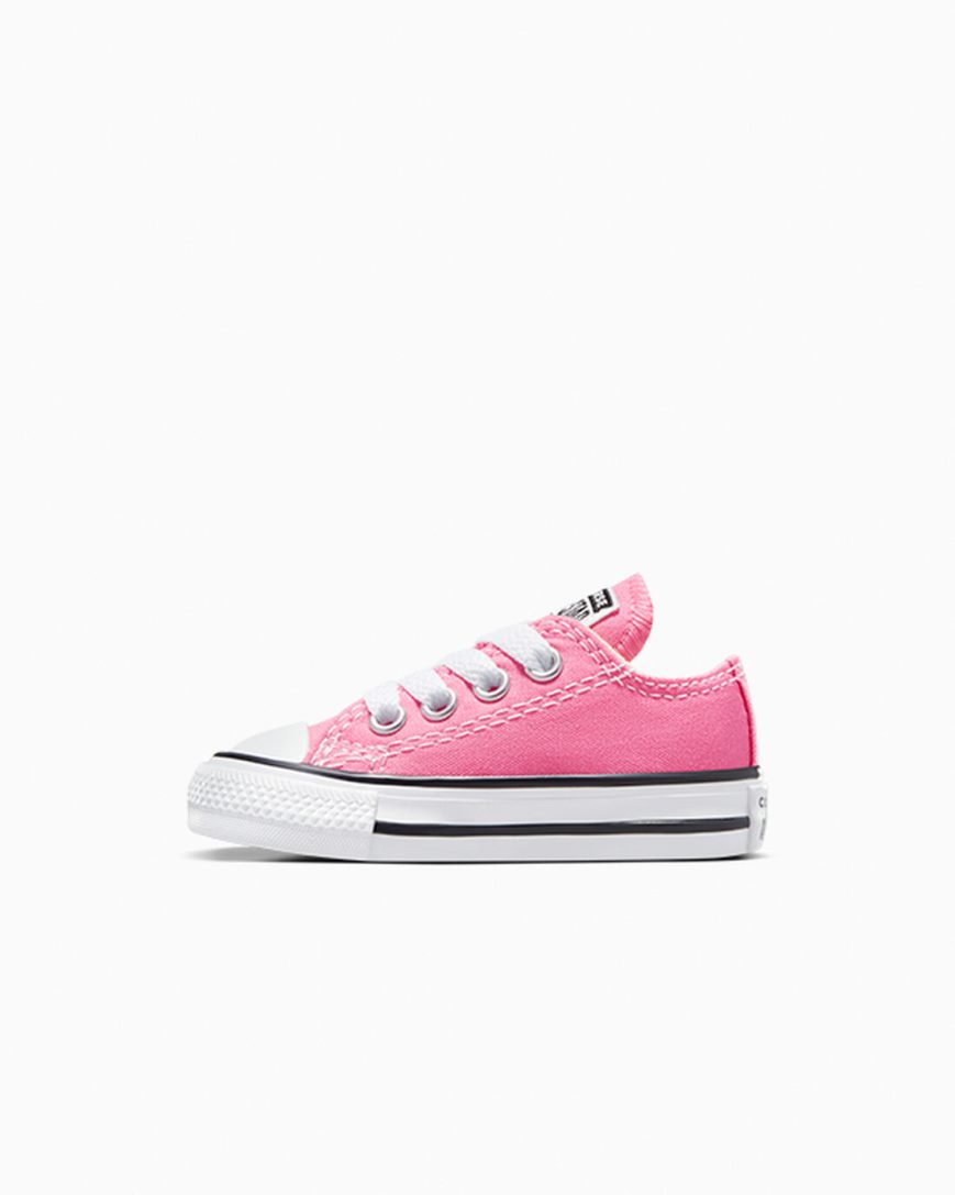 Pink Converse Chuck Taylor All Star Classic Boys' Low Top Shoes | XWL49K7I8