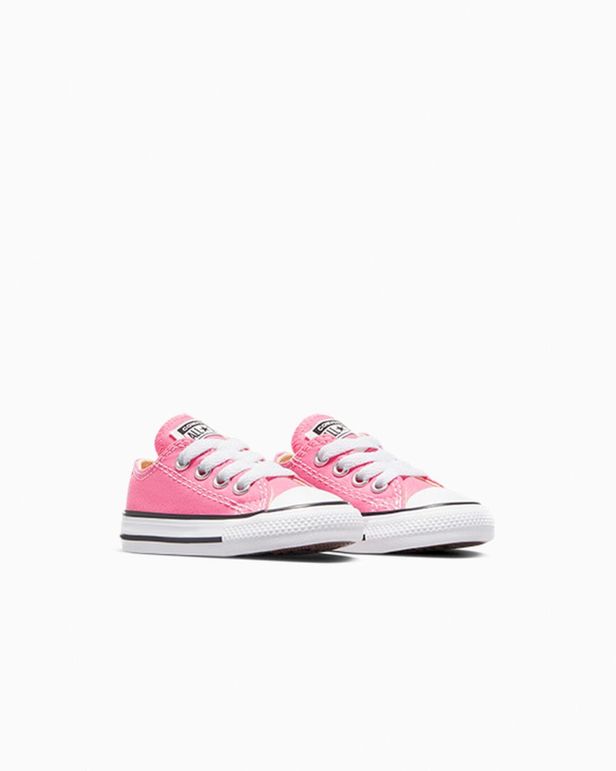 Pink Converse Chuck Taylor All Star Classic Boys' Low Top Shoes | XWL49K7I8