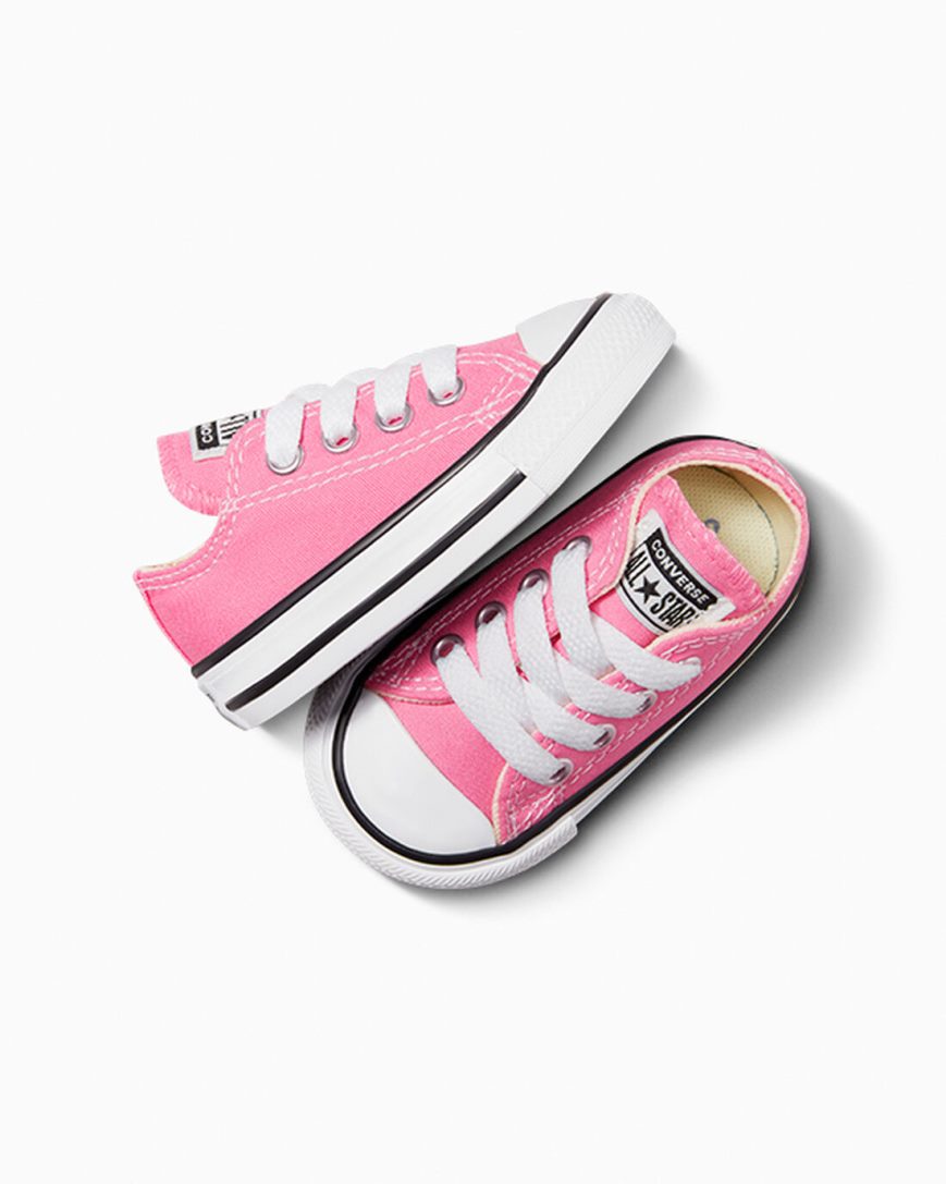 Pink Converse Chuck Taylor All Star Classic Boys' Low Top Shoes | XWL49K7I8