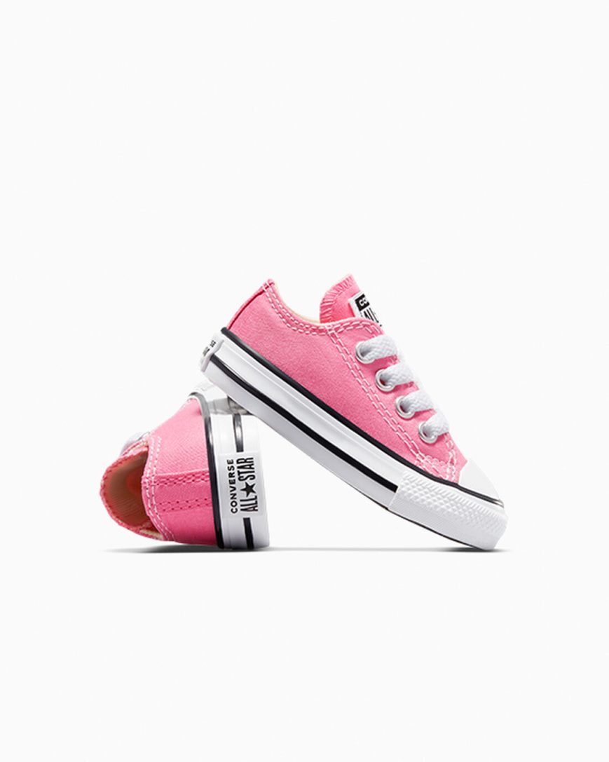 Pink Converse Chuck Taylor All Star Classic Boys' Low Top Shoes | XWL49K7I8