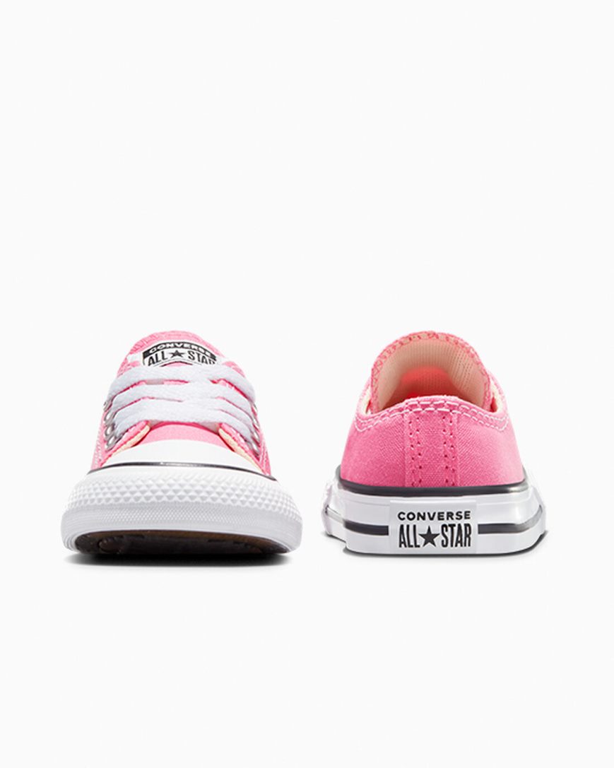 Pink Converse Chuck Taylor All Star Classic Boys' Low Top Shoes | XWL49K7I8