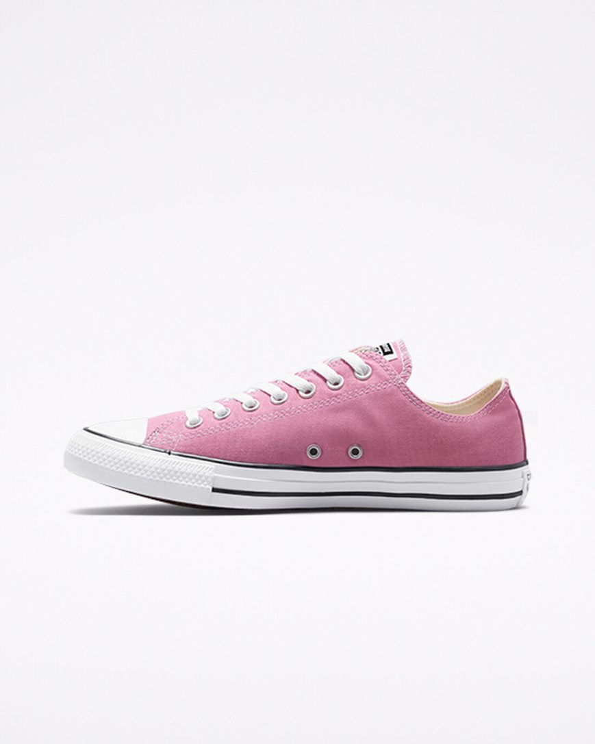 Pink Converse Chuck Taylor All Star Seasonal Color Men's Low Top Shoes | CGK57L138