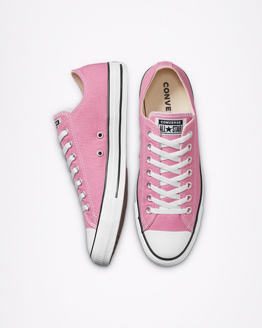 Pink Converse Chuck Taylor All Star Seasonal Color Men's Low Top Shoes | CGK57L138