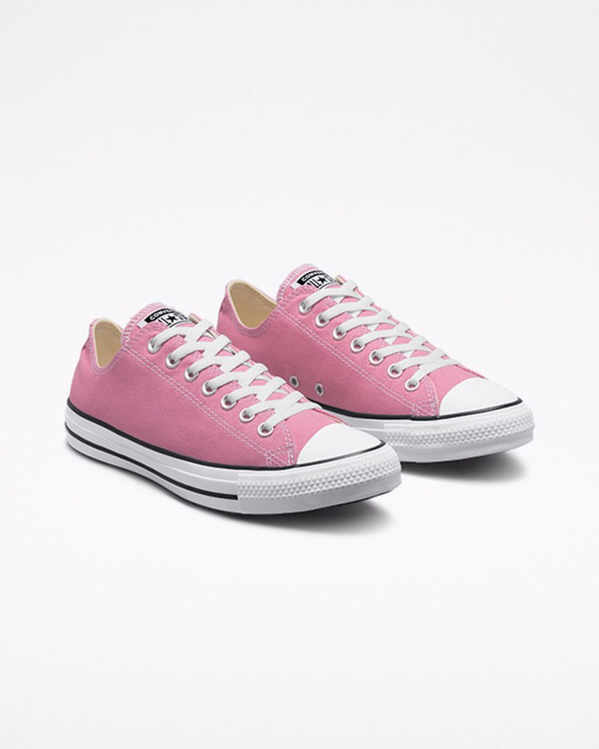 Pink Converse Chuck Taylor All Star Seasonal Color Men's Low Top Shoes | CGK57L138