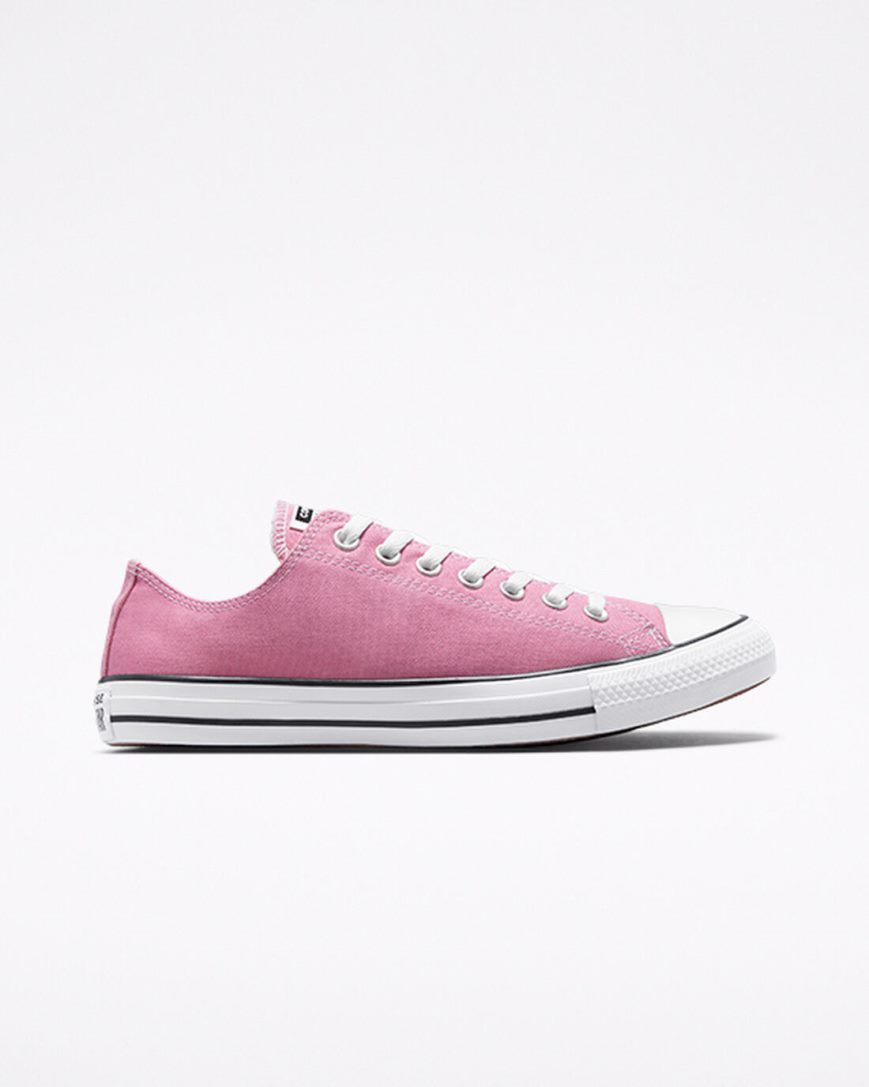 Pink Converse Chuck Taylor All Star Seasonal Color Men\'s Low Top Shoes | CGK57L138